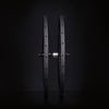 ICAN AERO 52 II disc wheels with 45T ratchet system hubs D91 TRIAERO