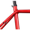 Upgraded Internal Routing X-Gravel Bike Frame - Triaero